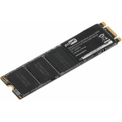 Накопитель SSD PC Pet...