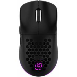 Мышь Оклик 900GMW черный...