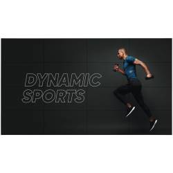 Панель LG 55" 55VL5PJ-A...