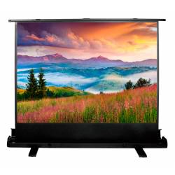 Экран Cactus 68x120см...