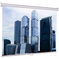 Экран Lumien 206x274см Eco...
