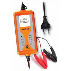 Зарядное устройство Berkut...