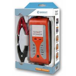 Зарядное устройство Berkut...