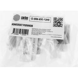 Комплект роликов Cactus...