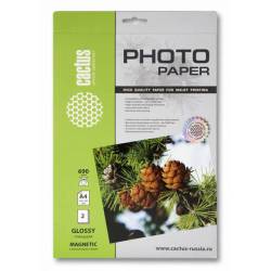 Фотобумага Cactus...