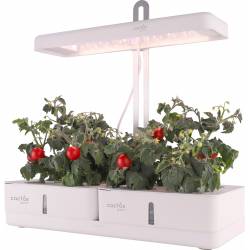 Гидропонная установка...