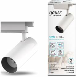 Светильник Gauss TR081...