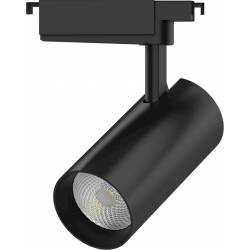 Светильник Gauss TR088...