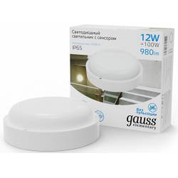 Светильник Gauss ЖКХ...
