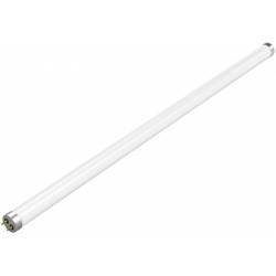 Лампа светодиодная Gauss...