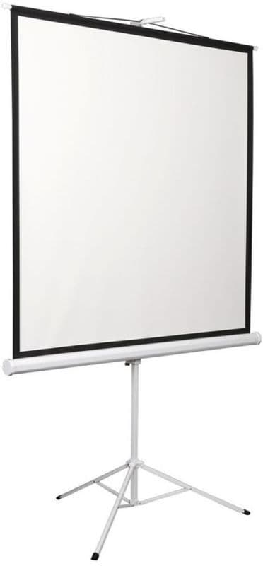 Экран Digis 96" 172x172см Kontur-D DSKD-1104 1:1 напольный рулонный