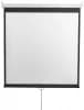 Экран Digis 135" 240x240см Optimal-D DSOD-1107 1:1 настенно-потолочный рулонный - фото 3