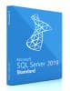 ПО Microsoft SQL Server Standard 2019 English DVD 10 Clt (228-11548) - фото 3
