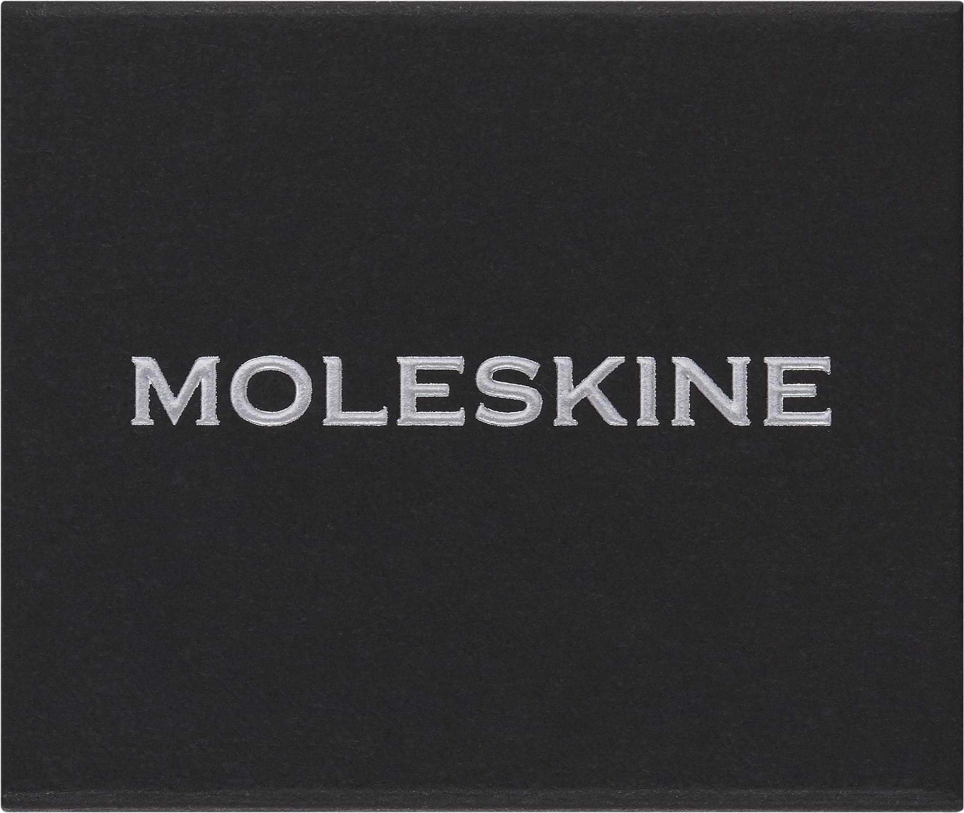 Шильд-символ Moleskine Zodiac Козерог металл серебристый коробка с европод. PINCAPRICORNSILV - фото 4