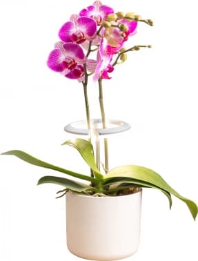 Светильник фито Cactus GARDEN светод. 7.5Вт цв.св.:белый (CS-LED-ORCHID) - фото 2