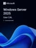 ПО Microsoft Windows Server CAL 2025 English 1pk DSP OEI 5 Clt User CAL (EP2-25279) - фото 3