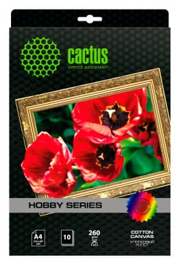 Холст Cactus CS-CA426010 A4/260г/м2/10л. для струйной печати - фото 2