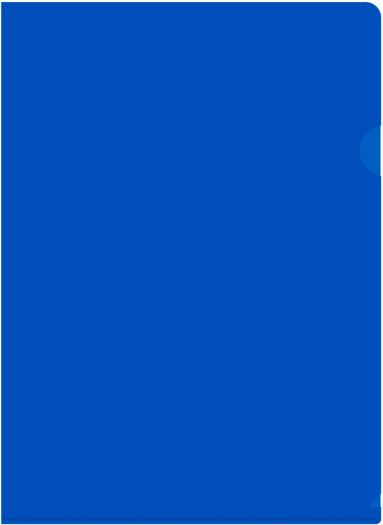Папка-уголок Бюрократ -E310N/1BLU непрозрачный A4 пластик 0.18мм синий