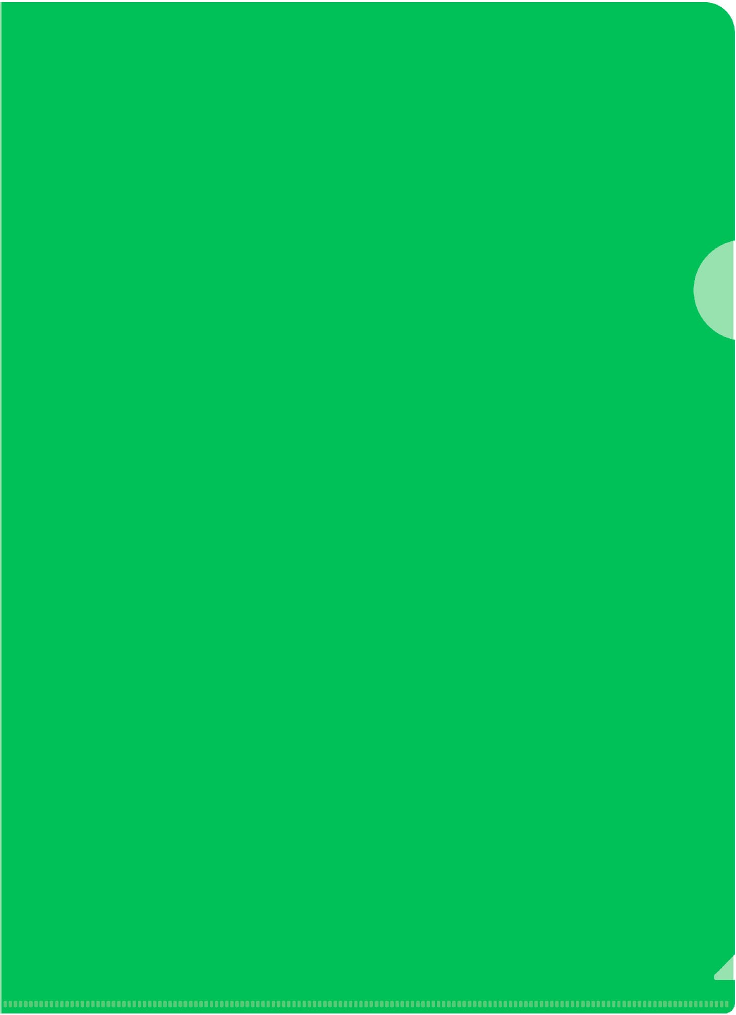 Папка-уголок Бюрократ -EE310/1GREEN A4 пластик 0.15мм зеленый