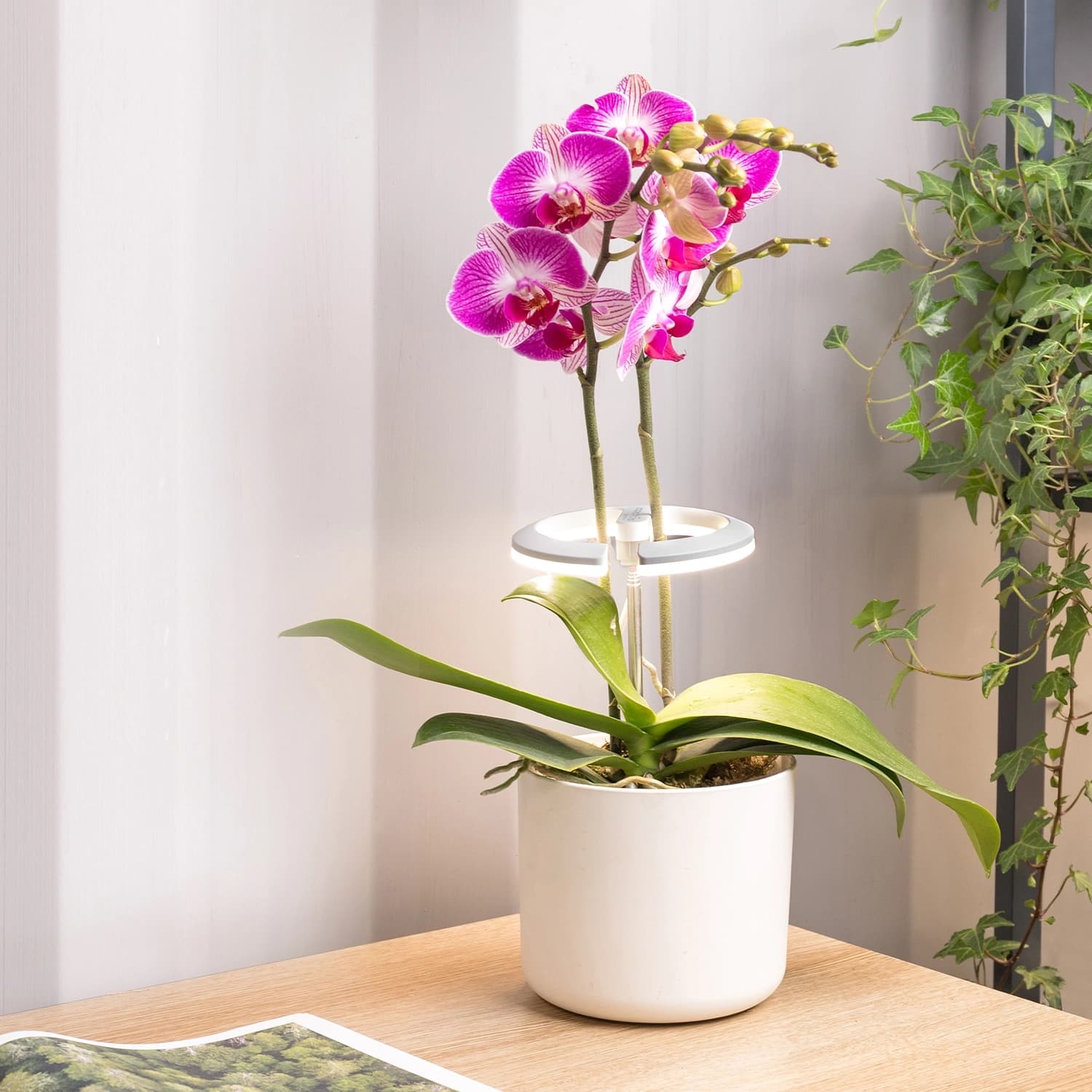Светильник фито Cactus GARDEN светод. 7.5Вт цв.св.:белый (CS-LED-ORCHID) - фото 3